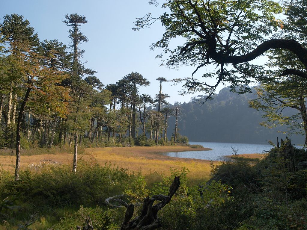 img00022.jpg