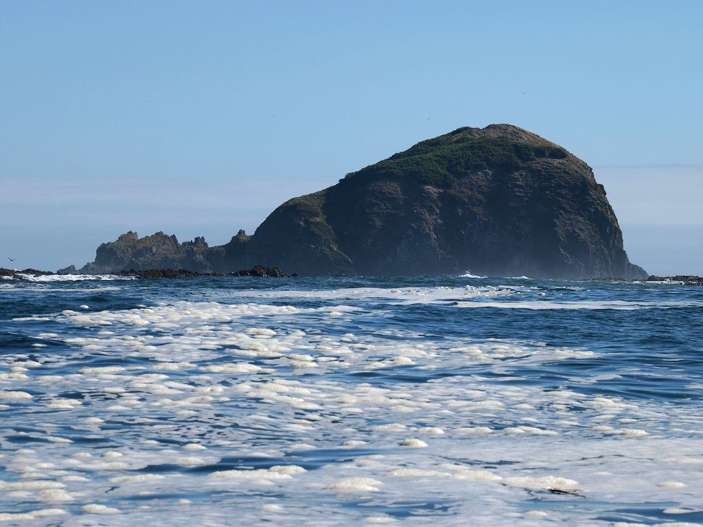 img00022.jpg
