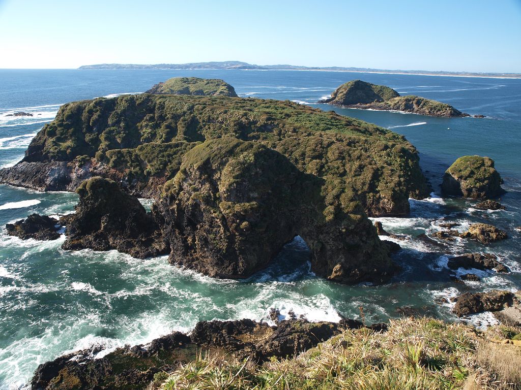 img00030.jpg
