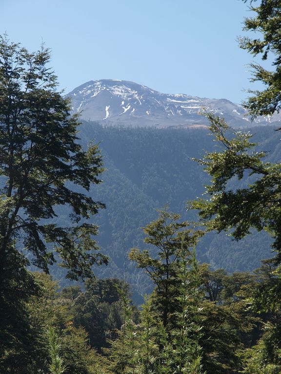 img00005.jpg