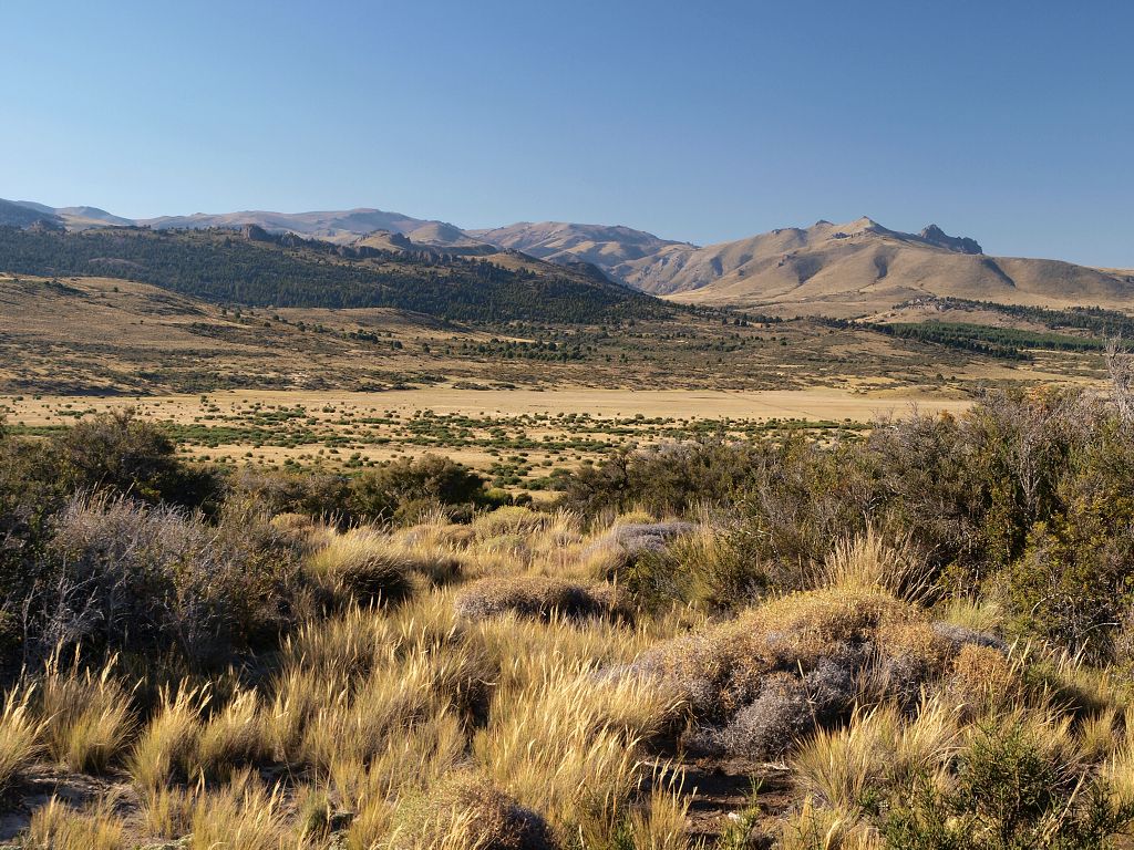 img00020.jpg