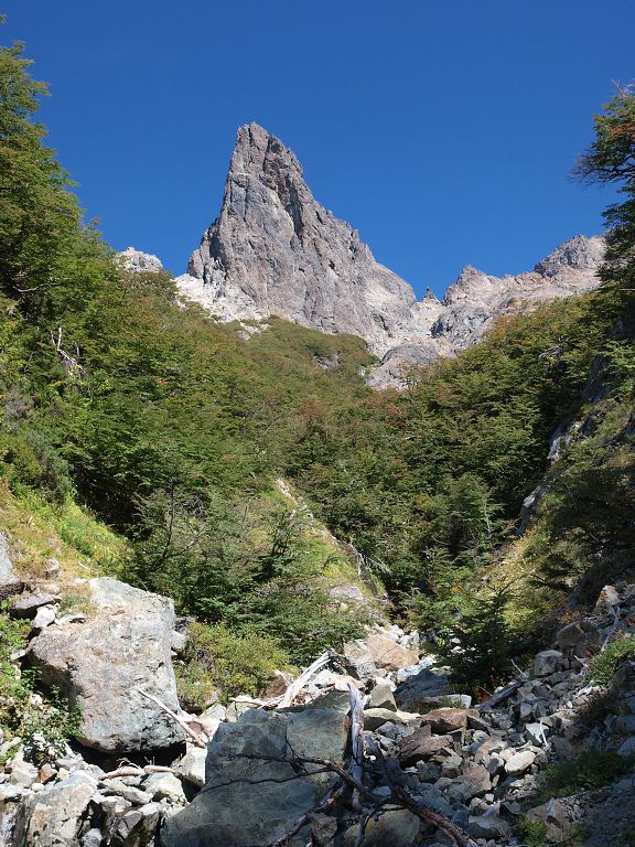 img00011.jpg