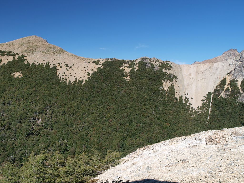 img00014.jpg