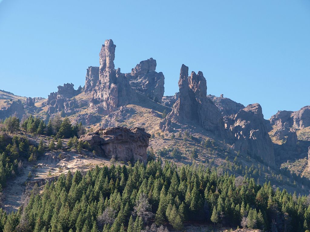 img00005.jpg