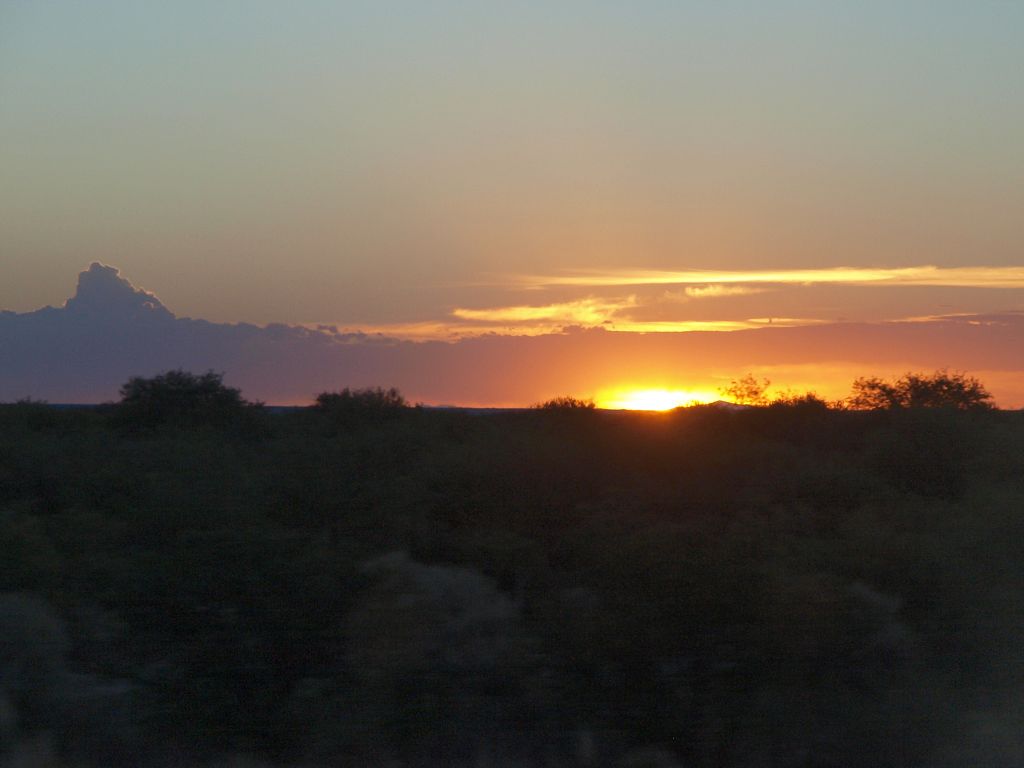 img00018.jpg