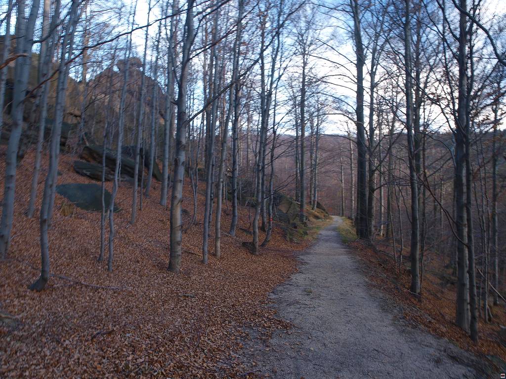 PA317502.jpg