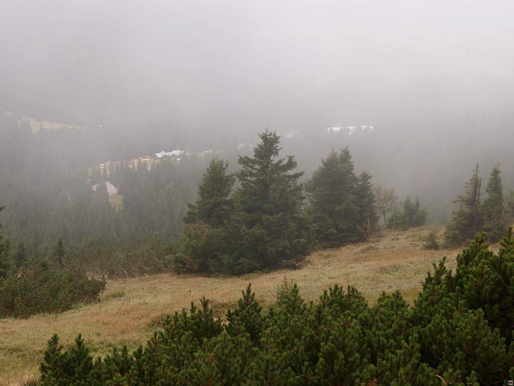 P9122627z.jpg