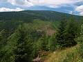 thn_P8016043.jpg