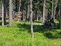 thn_P8016051.jpg