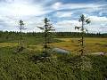thn_P8016055.jpg