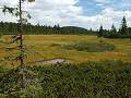 thn_P8016056.jpg