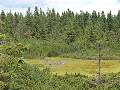 thn_P8016057.jpg
