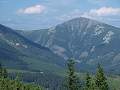 thn_P8016078.jpg