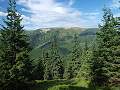 thn_P8016096.jpg