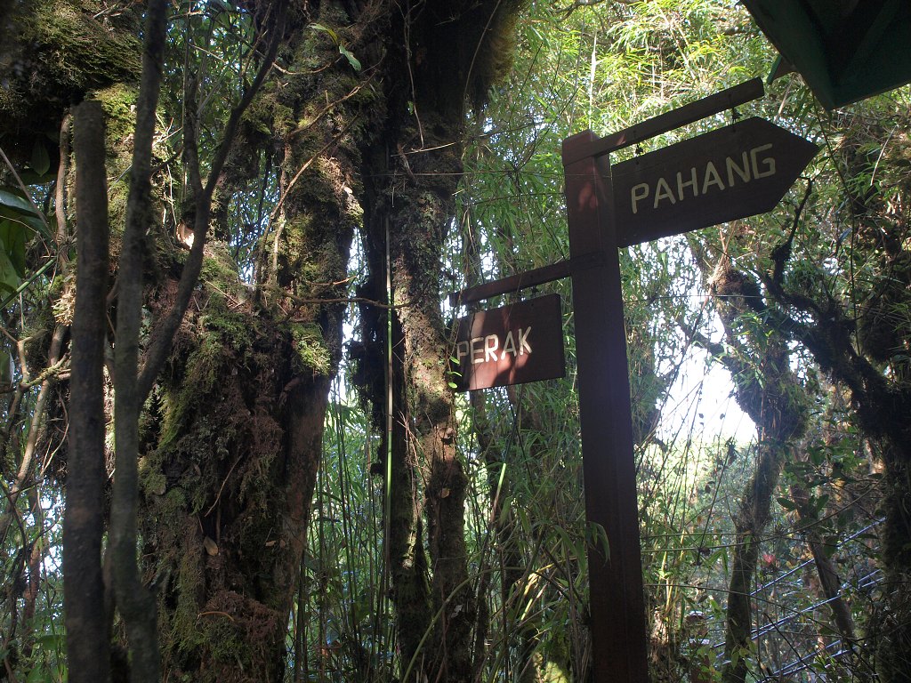 P1269473.jpg