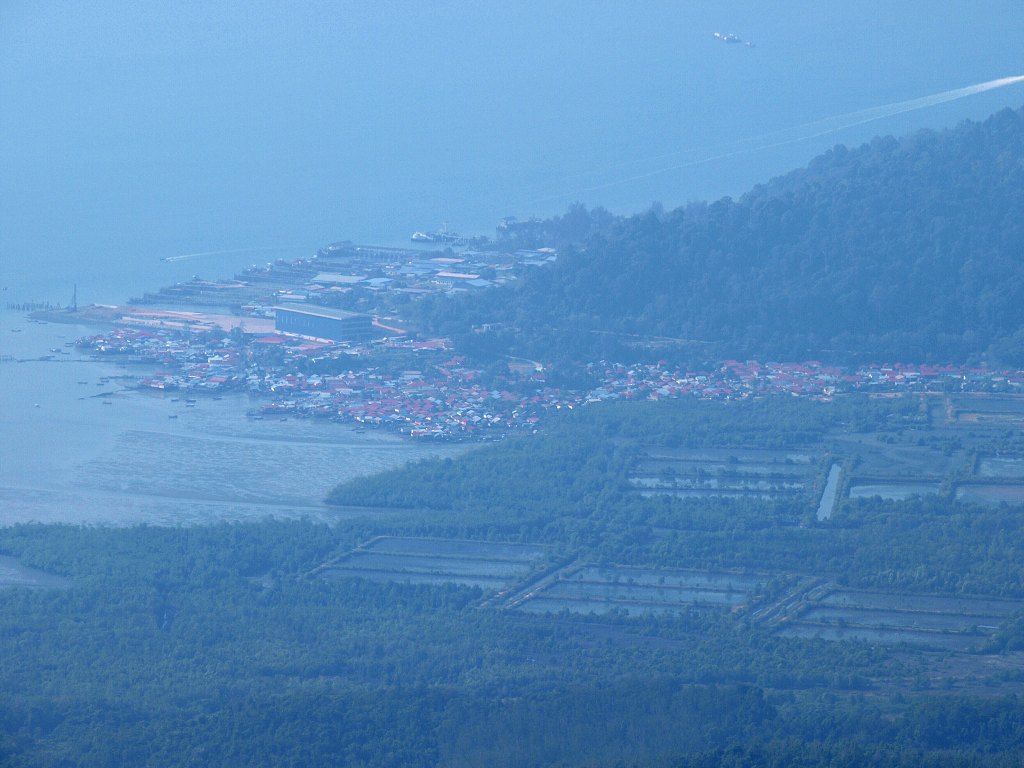 P1229154.jpg