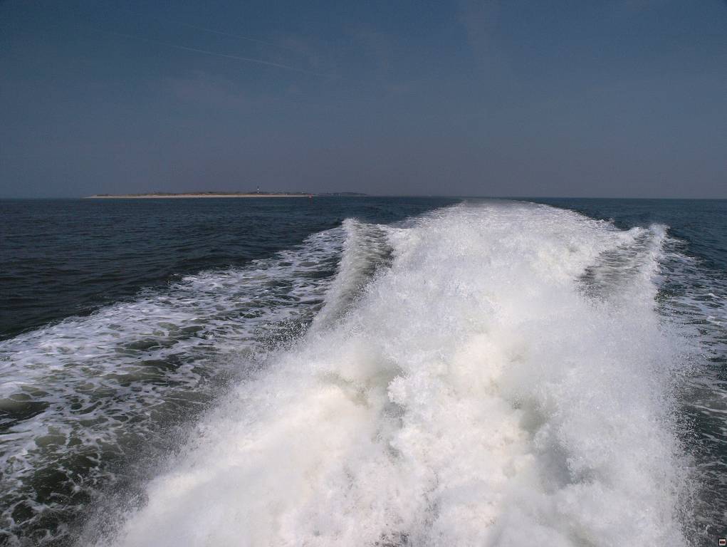 P7035580.jpg