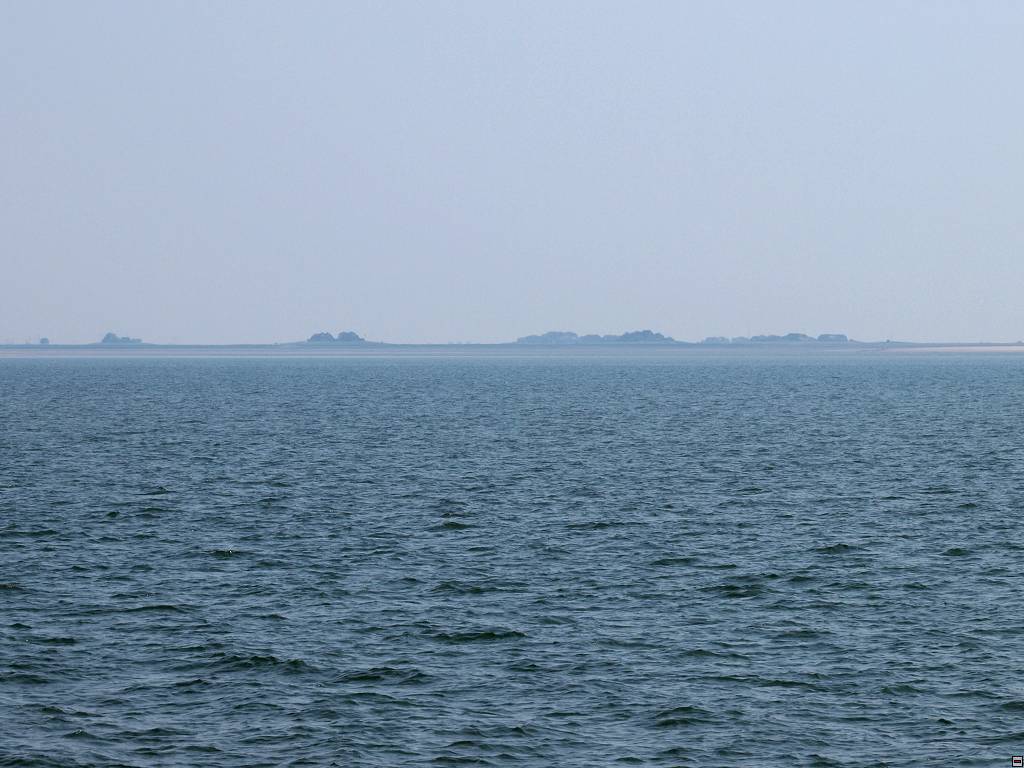 P7035624.jpg