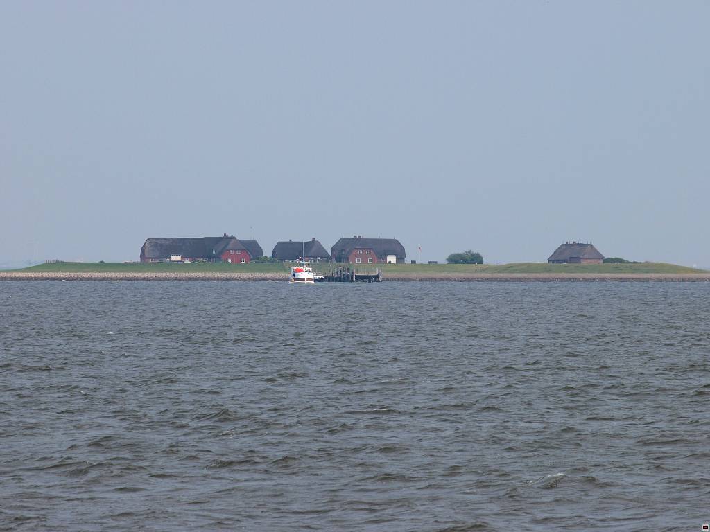P7035674.jpg