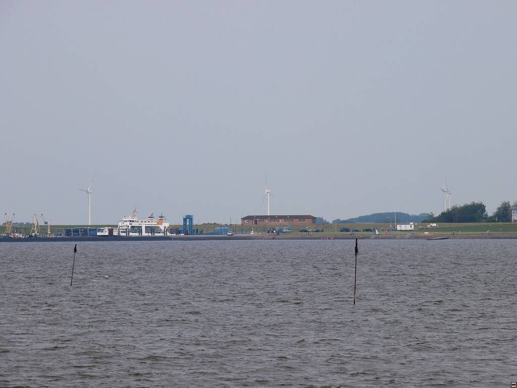P7035678.jpg