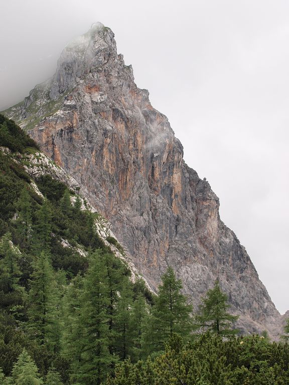 img00015.jpg