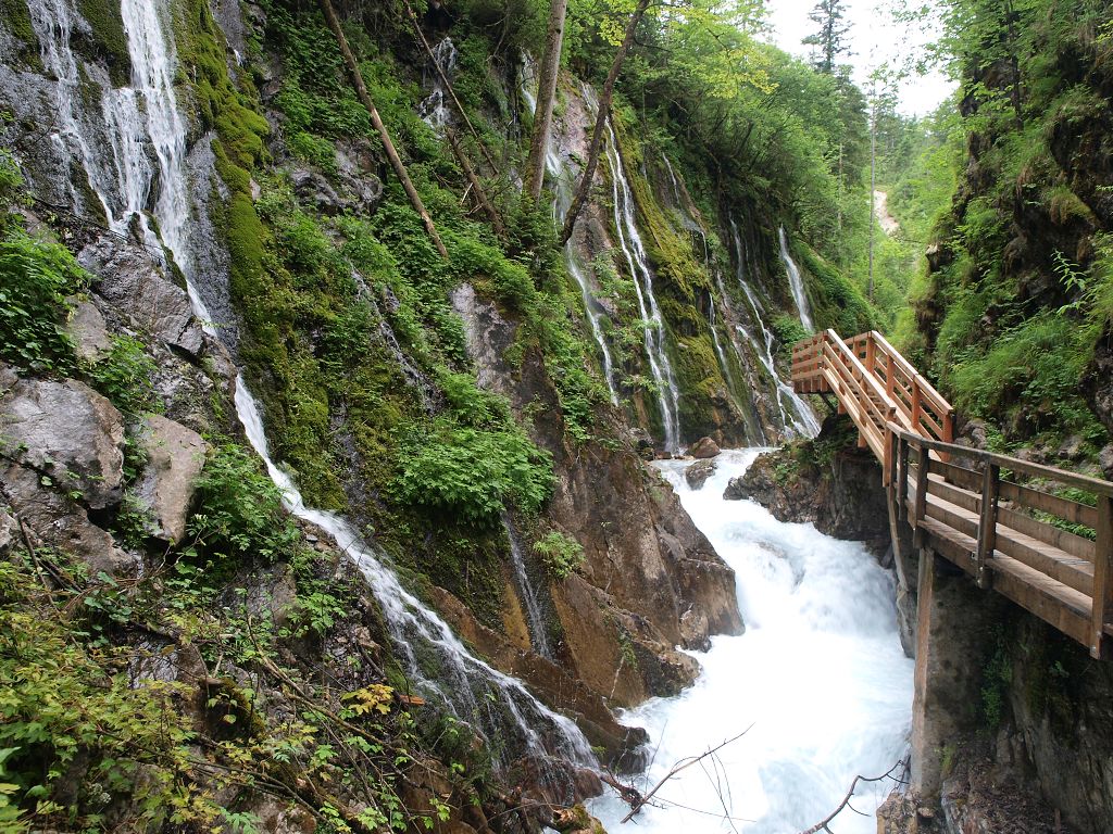 img00025.jpg