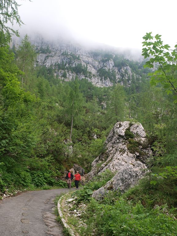 img00006.jpg