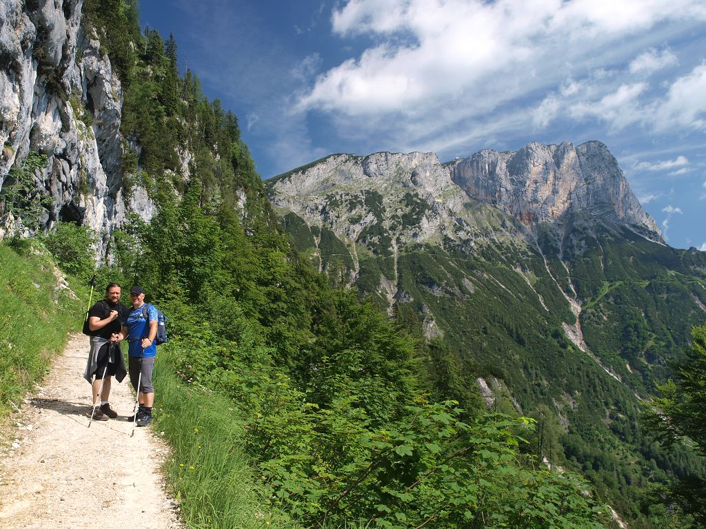 img00003.jpg