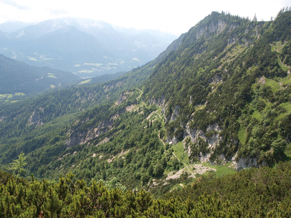 img00004.jpg