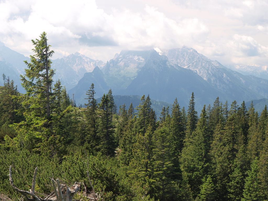 img00005.jpg
