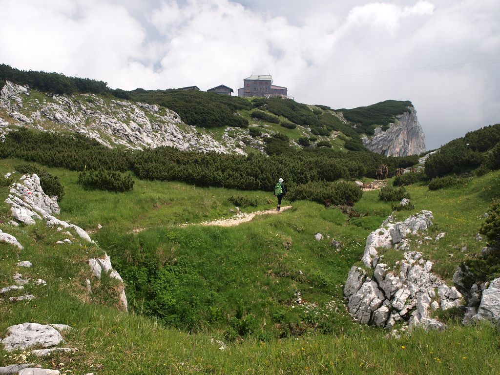 img00006.jpg