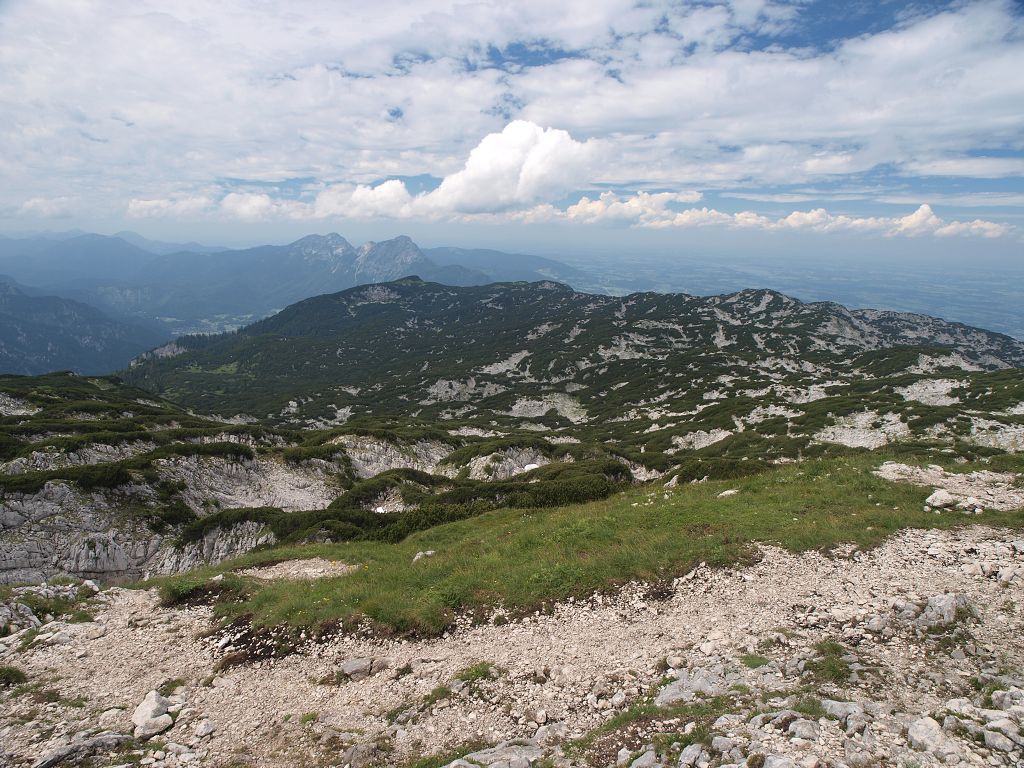 img00013.jpg