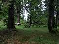 thn_P6135512.jpg