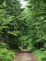 thn_P6135513.jpg