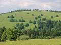 thn_P6135524.jpg