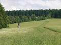thn_P6135526.jpg