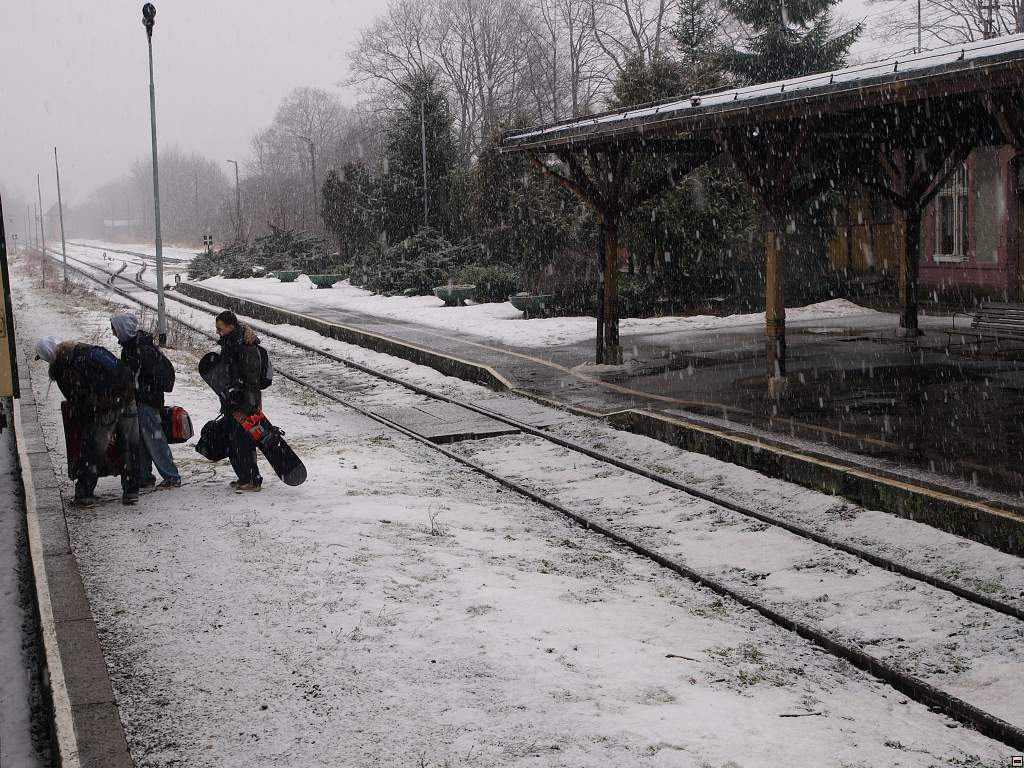 P2088432.jpg