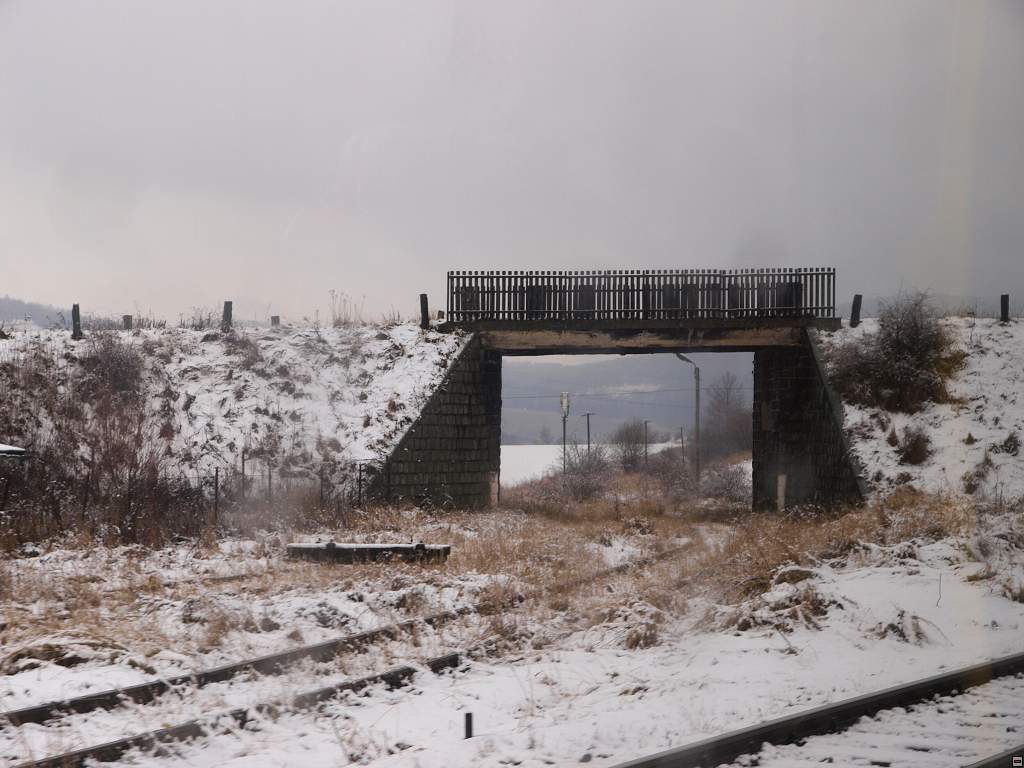 P2088457.jpg