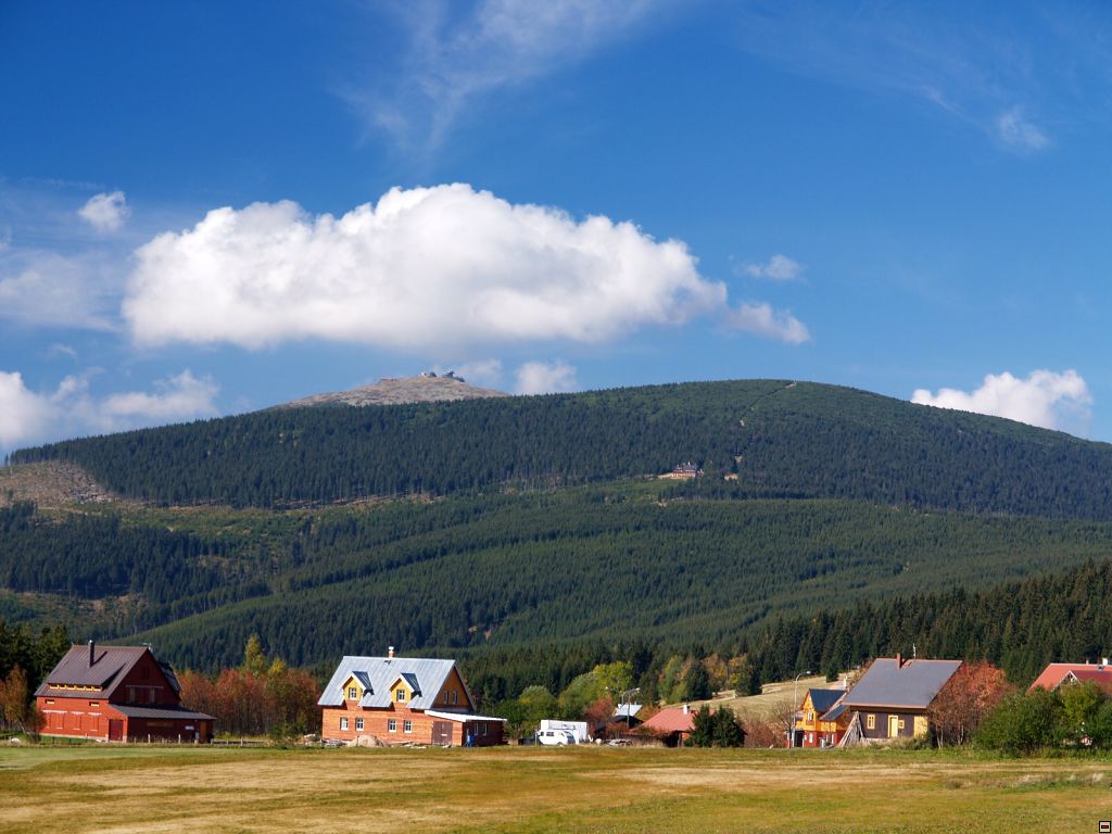 P1014382zz.jpg