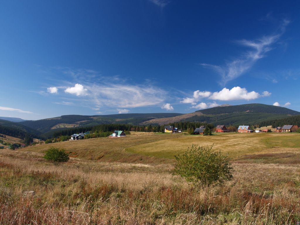 P1014384zz.jpg