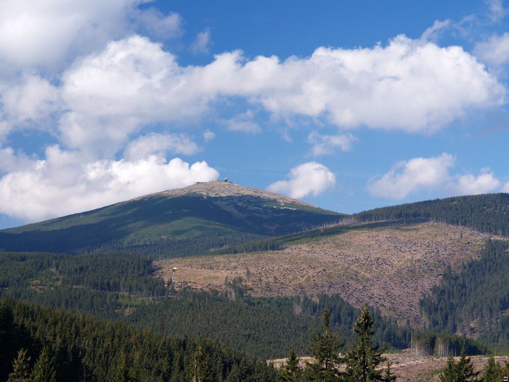 P1014390zz.jpg