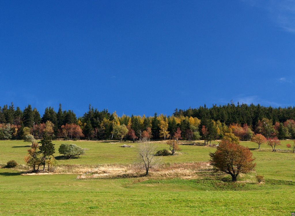 P1014402zz.jpg