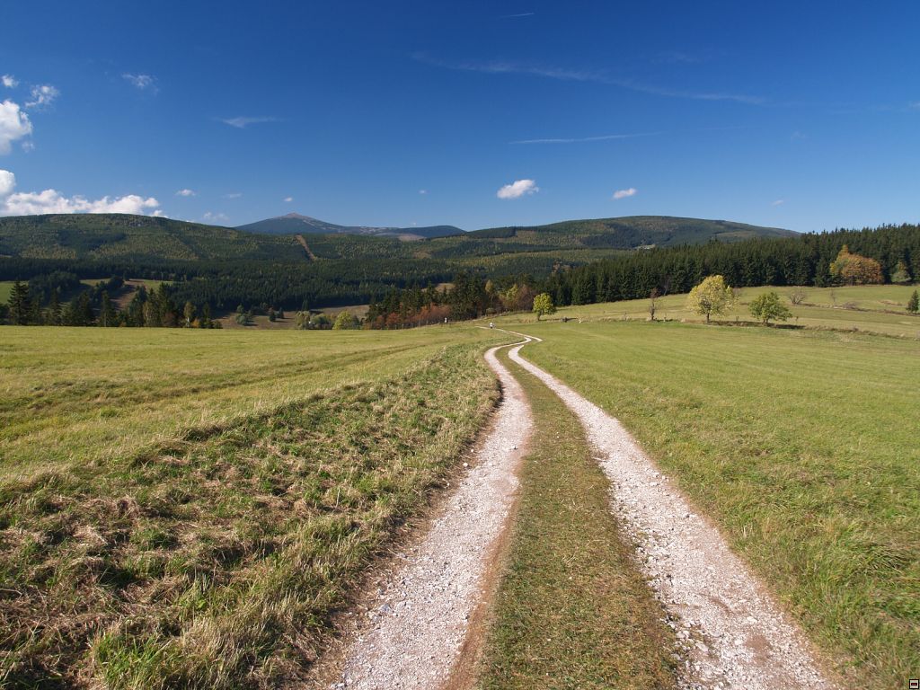 P1014416zz.jpg