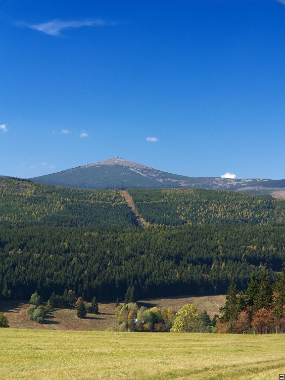 P1014417zz.jpg