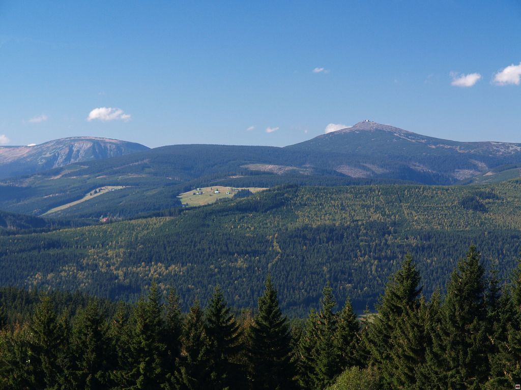 P1014424zz.jpg