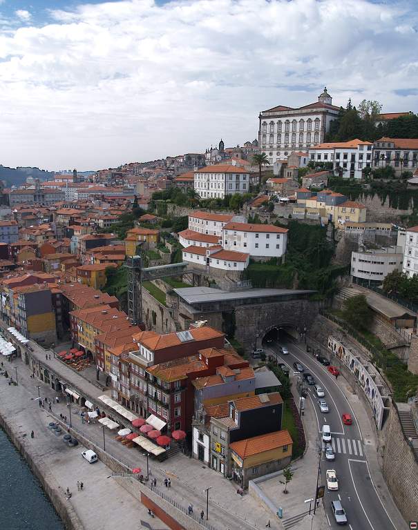 P1010284.jpg