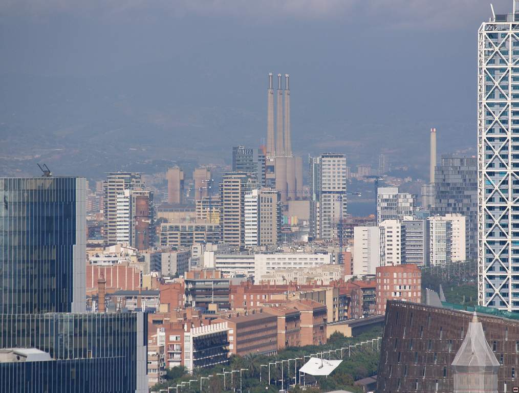 P1010381.jpg
