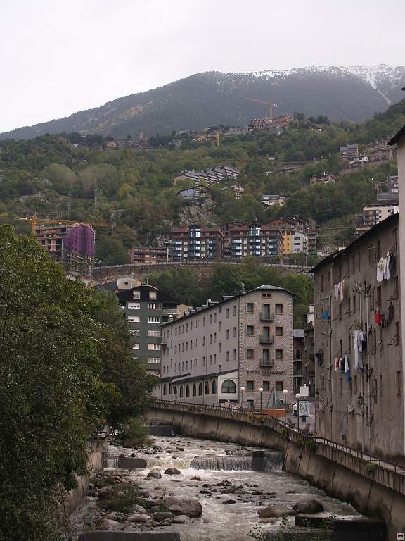 P1010438.jpg