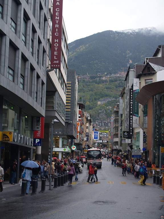 P1010443.jpg