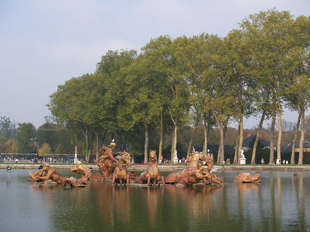 P1010659.jpg